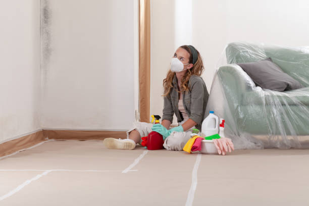 Trusted Black Mold Removal service in Bunnlevel, NC - Cheap Mold Removal