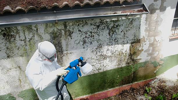 Trusted Mold Testing service in Bunnlevel, NC - Cheap Mold Removal